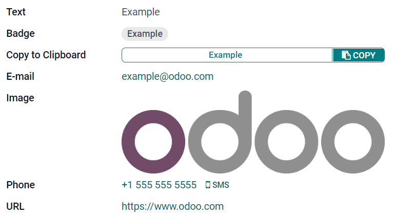 Ejemplos de campos de texto con diferentes widgets